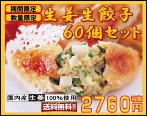 送料無料　生姜生餃子　６０個セット