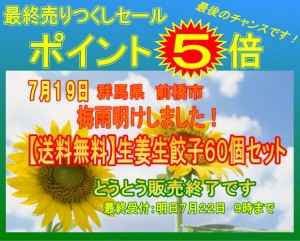 送料無料生姜生餃子60個セットポイント5倍！