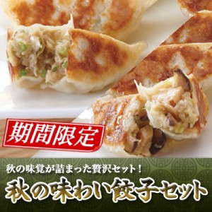 秋の味わい餃子セット