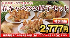 春キャベツの餃子セット