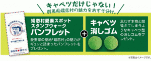 キャベツの生餃子セット限定プレゼント