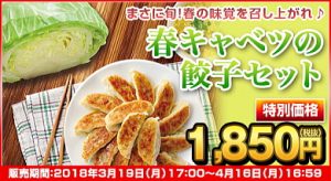 春キャベツの餃子が今年も販売開始です♪