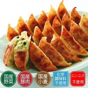 野菜たっぷり生餃子