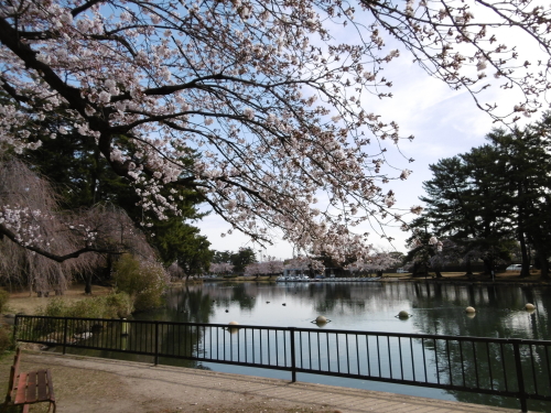 敷島ボート