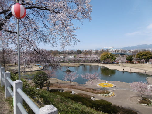 前橋公園 さちの池