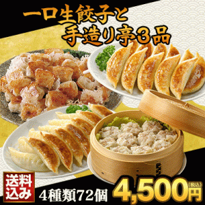 一口生餃子と手造り亭3品